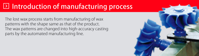 Introduction of manufacturing process