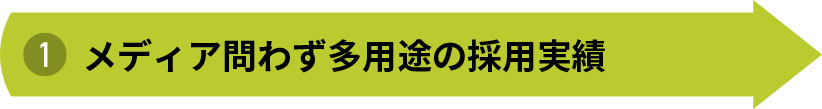 メディア問わず多用途の採用実績